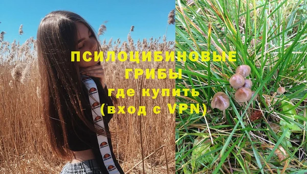 кокаин колумбия Алексин