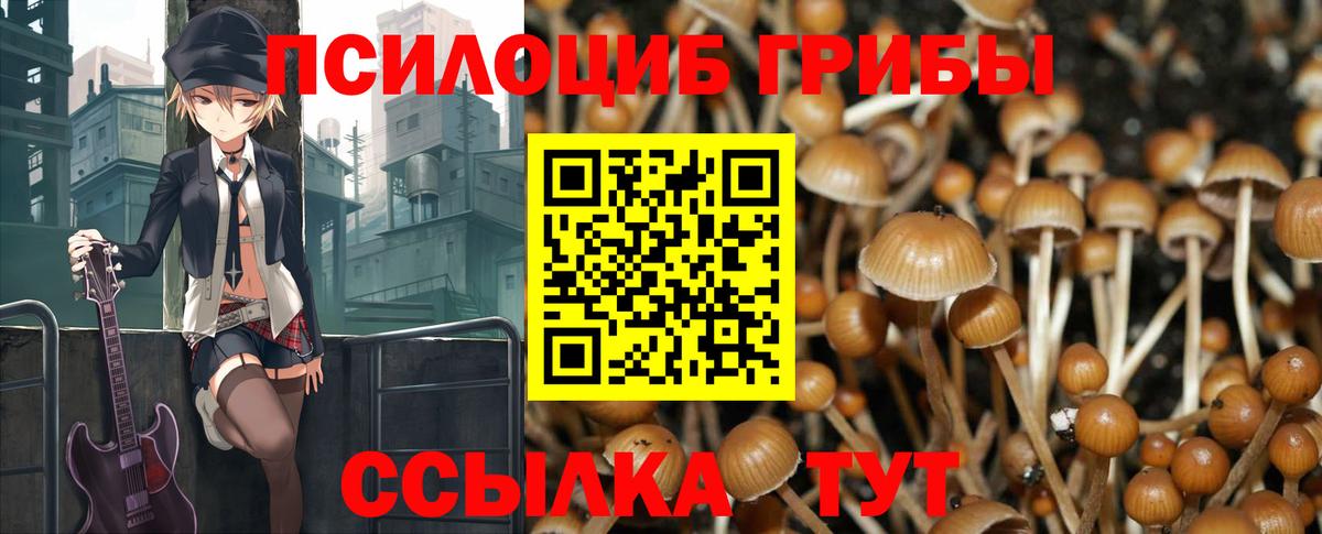 Псилоцибиновые грибы мицелий Алушта